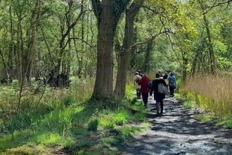 People walking in Park woodland