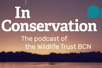 In Conservation - the podcast of the Wildlife Trust BCN, on a background of Pitsford Water nature reserve with stars above