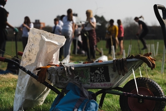 photo of young people planting trees