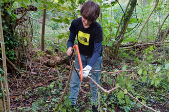 Youth ranger cutting a tree branch with a bow saw