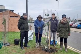 Group of people planting a tree