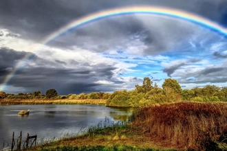 A rainbow bridging a stormy sky and a blue sky over wetland at the Great Fen