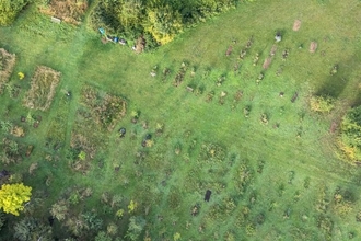 Muchwood Burial Site Drone Image