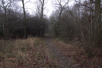 Southwick wood