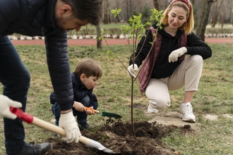 Small boy planting tree with help from parents