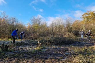 Volunteers clearing scrub