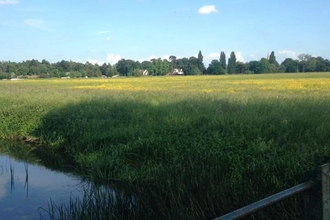 Portholme Meadow