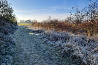 Trumpington in winter