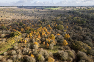 An aerial show of Strawberry Hill showing the scrubland turning into shades of gold and orange