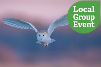 A barn owl in flight against a pink and blue sky, towards the camera. Local Group Event text overlaid.