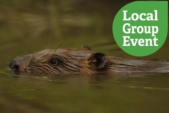 A beaver swimming, local group event sticker overlaid