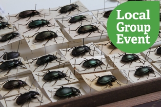 Ground Beetle specimens Cambridge Zoology Museum with local group event sticker overlaid