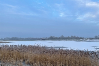 Landscape photo of wetland in winter