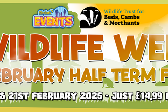 Banner advertising Wildlife Week February Half Term Fun