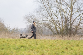 Dog on a lead on a nature reserve
