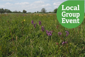 Wildflowers at Huntingdon Racecourse 