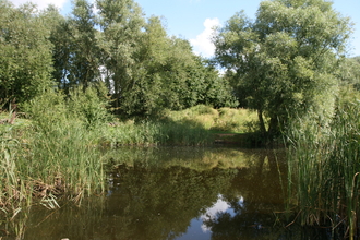 Lattersey Nature Reserve