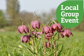 Fritillaries at Portholme Meadow on a sunny day. Local Group Event icon overlaid.