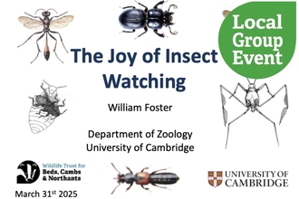 "Joy of insect watching" presentation title slide, with local group icon overlaid