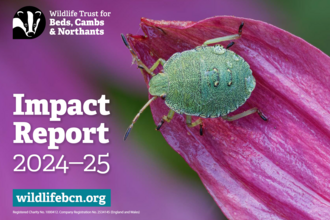 Impact Report 2024-25 front cover