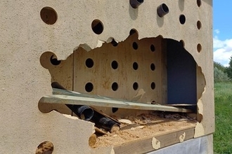 Vandalism Nene Wetlands