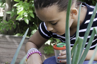 Child looking in a raised vegetable bed, bug hunting whilst holding a red and green bug pot