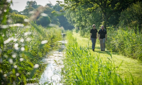 People walking along a path in a wetland nature reserve