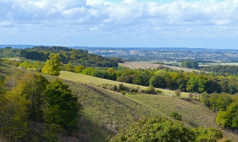 Pegsdon Hills and Hoo Bit nature reserve