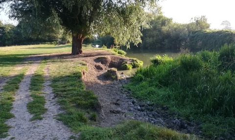 Grantchester Meadows River Bank - Ruth Hawksley