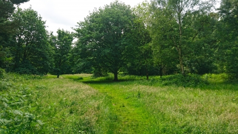 Lings Nature Reserve