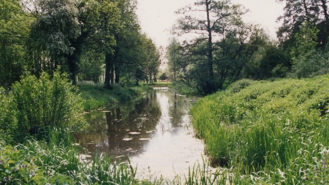 Image of Arlesey Old Moat