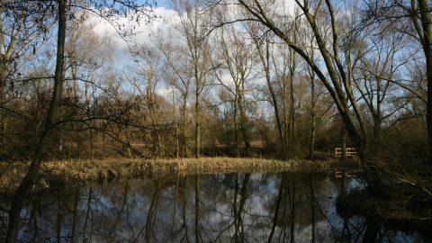 Image of lake and trees at Begwary Brook