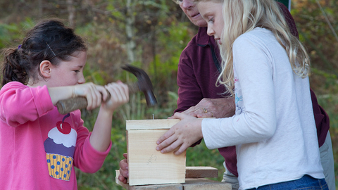 Bird box building