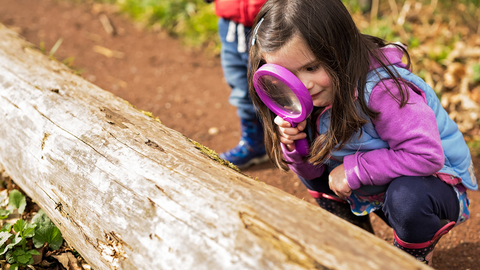 Girl holding purple magnifying glass looking at a fallen log