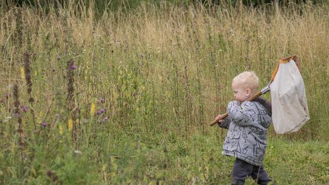 Toddler with sweep net walking through meadow