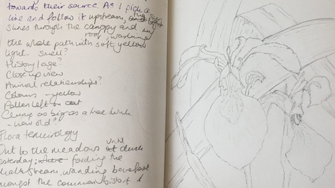 Unlined writing journal open to see two pages, on the right hand side a hand written list in pencil about wildlife observed and on the right a sketch of yellow irises in pencil.