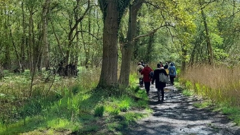 Walk through wooded area