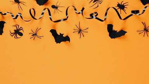 An orange screen with paper bats, plastic spiders and black ribbon