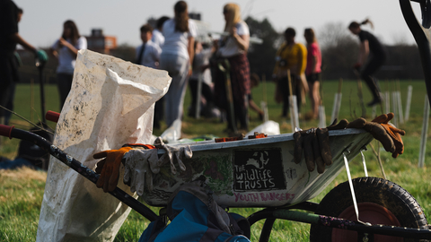 photo of young people planting trees