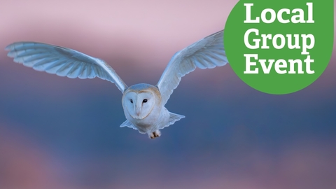 A barn owl in flight against a pink and blue sky, towards the camera. Local Group Event text overlaid.