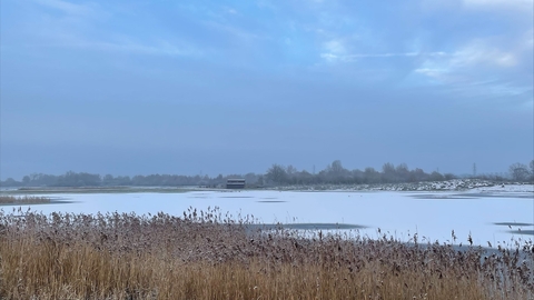 Landscape photo of wetland in winter