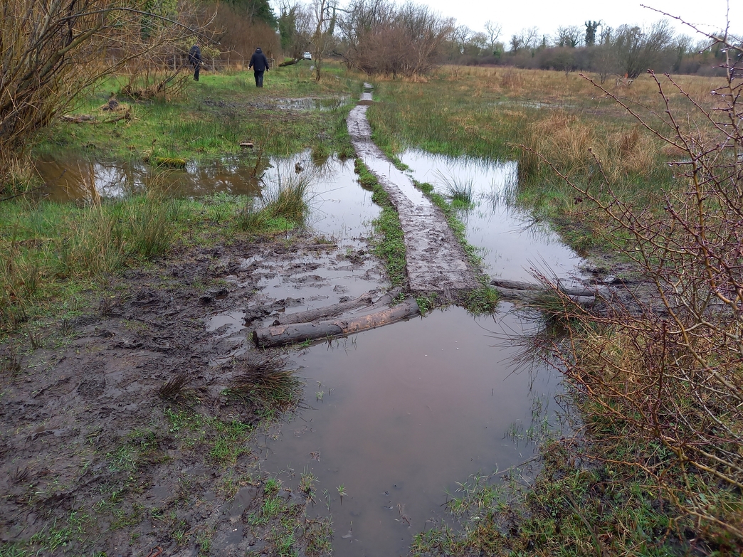 Cambridgeshire Reserves Highlights | Wildlife Trust for Beds Cambs ...