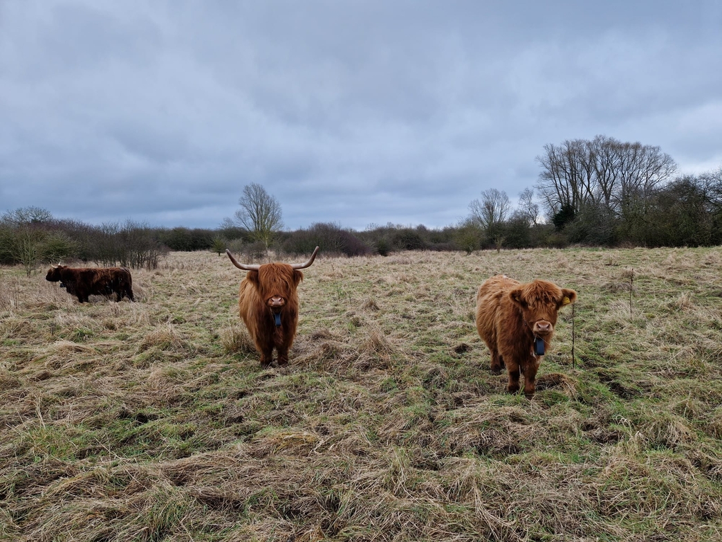 Bedfordshire Reserves Highlights | Wildlife Trust for Beds Cambs ...