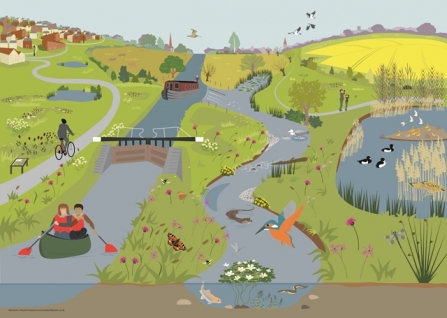 Nene valley illustration by Rachel Hudson