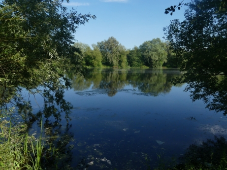 A view of Priory Park by Diana Spencer for 30 Days Wild