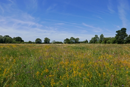 Upwood Meadows 