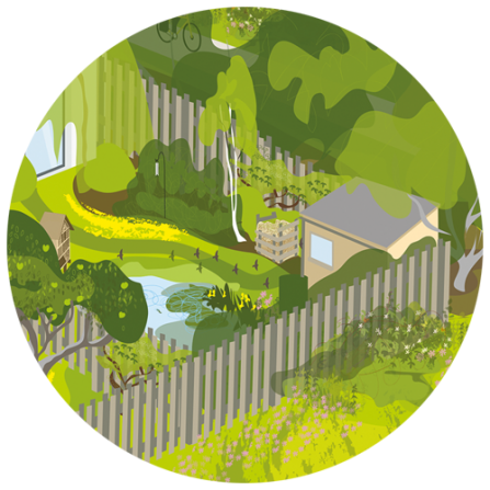 A cut-out from the main illustration showing a back garden with a shed and pond