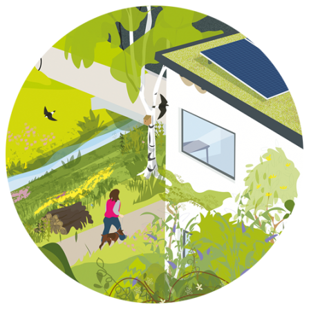 A cut-out from the main illustration showing a house with a solar panel and birds flying around.