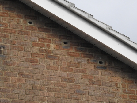 Swift nest bricks with discreet entrance holes under the eaves of a house