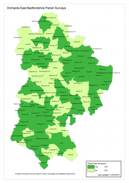 Orchards East Parish Surveyors